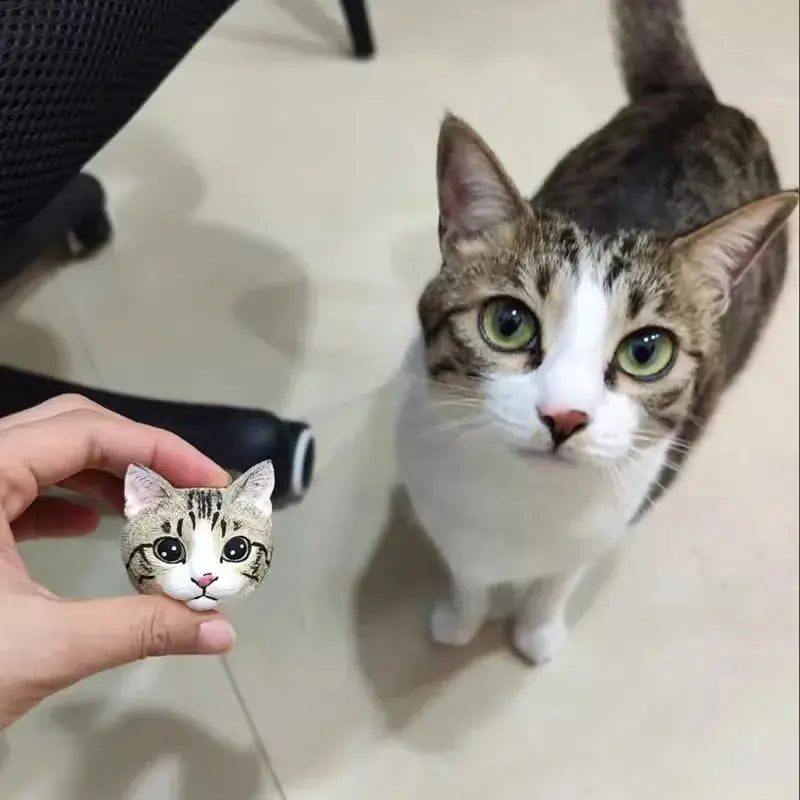 Cat looking at a small cat-shaped object held by a hand