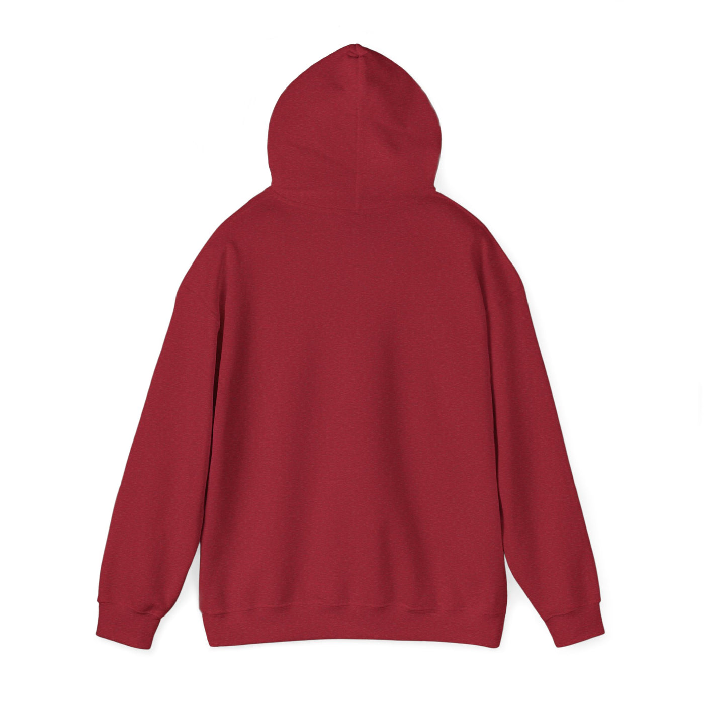 Back view of a red hooded sweatshirt.
