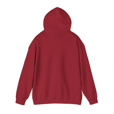 Back view of a red hooded sweatshirt.