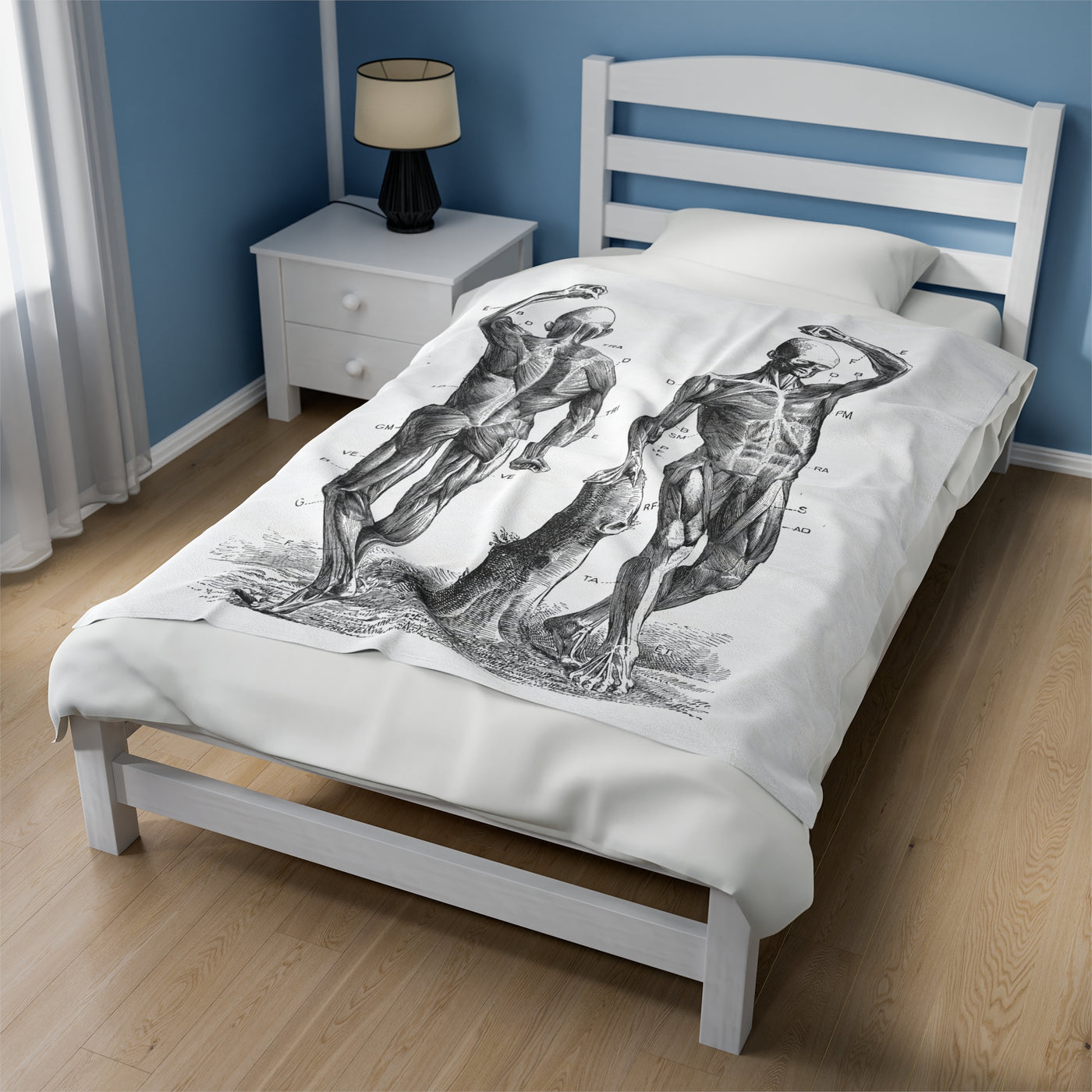 Blanket: Men's Anatomy Blanket