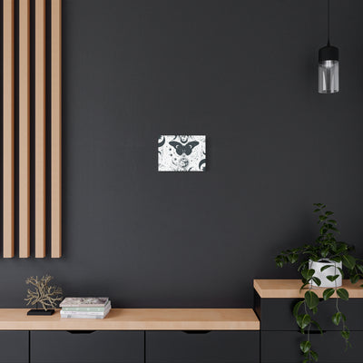 Canvas: Moon Moth