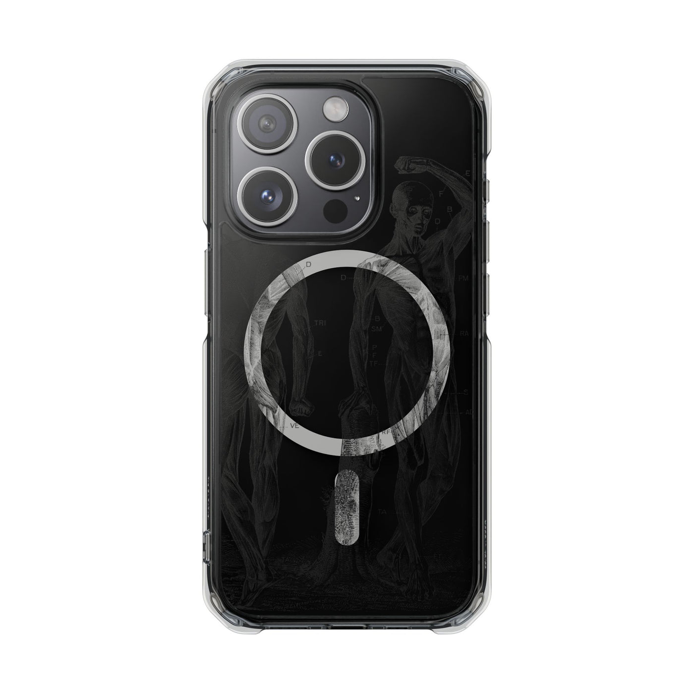 Phone Case:  Subtle Antique Skeletons Magnetic Clear Impact Case for iPhone
