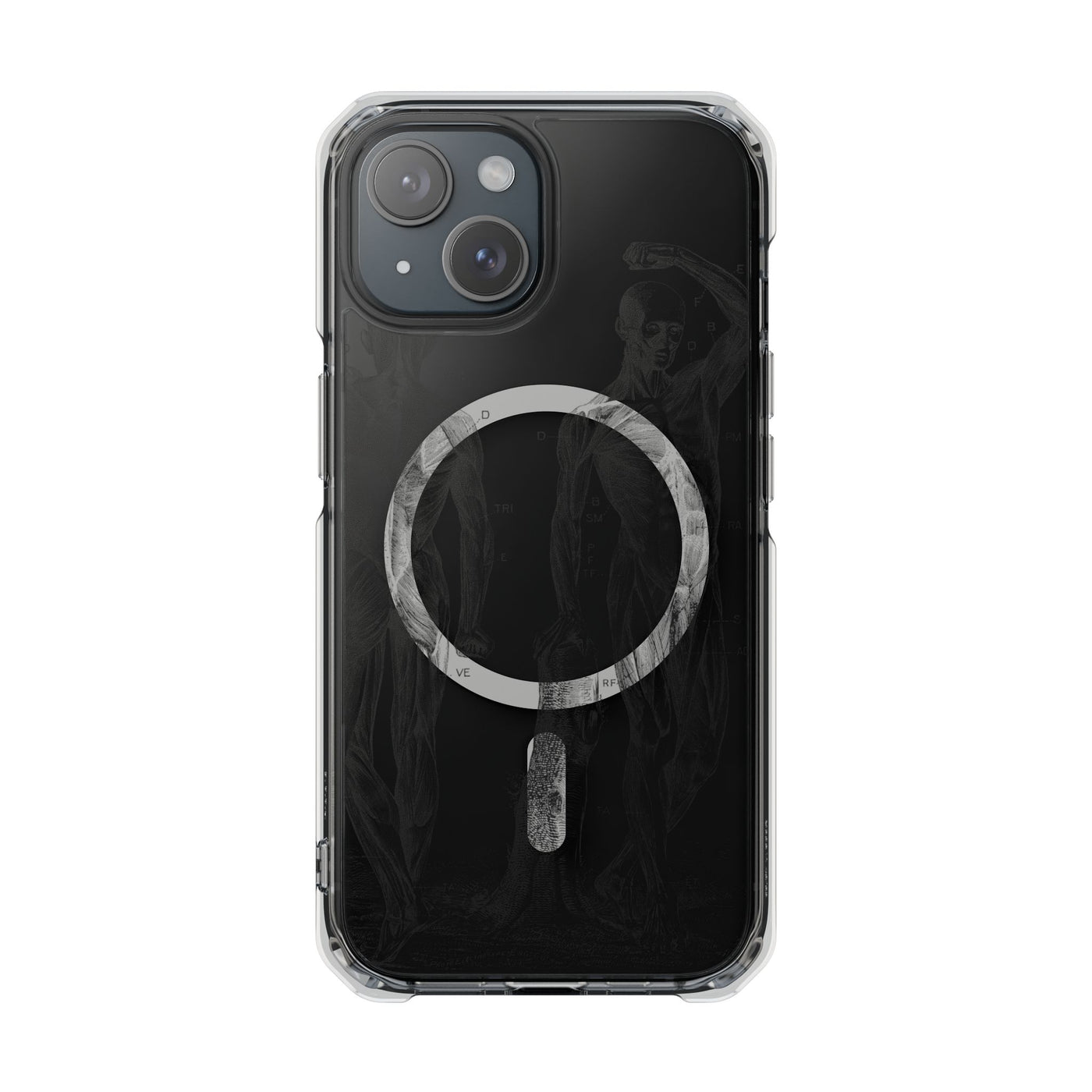 Phone Case:  Subtle Antique Skeletons Magnetic Clear Impact Case for iPhone