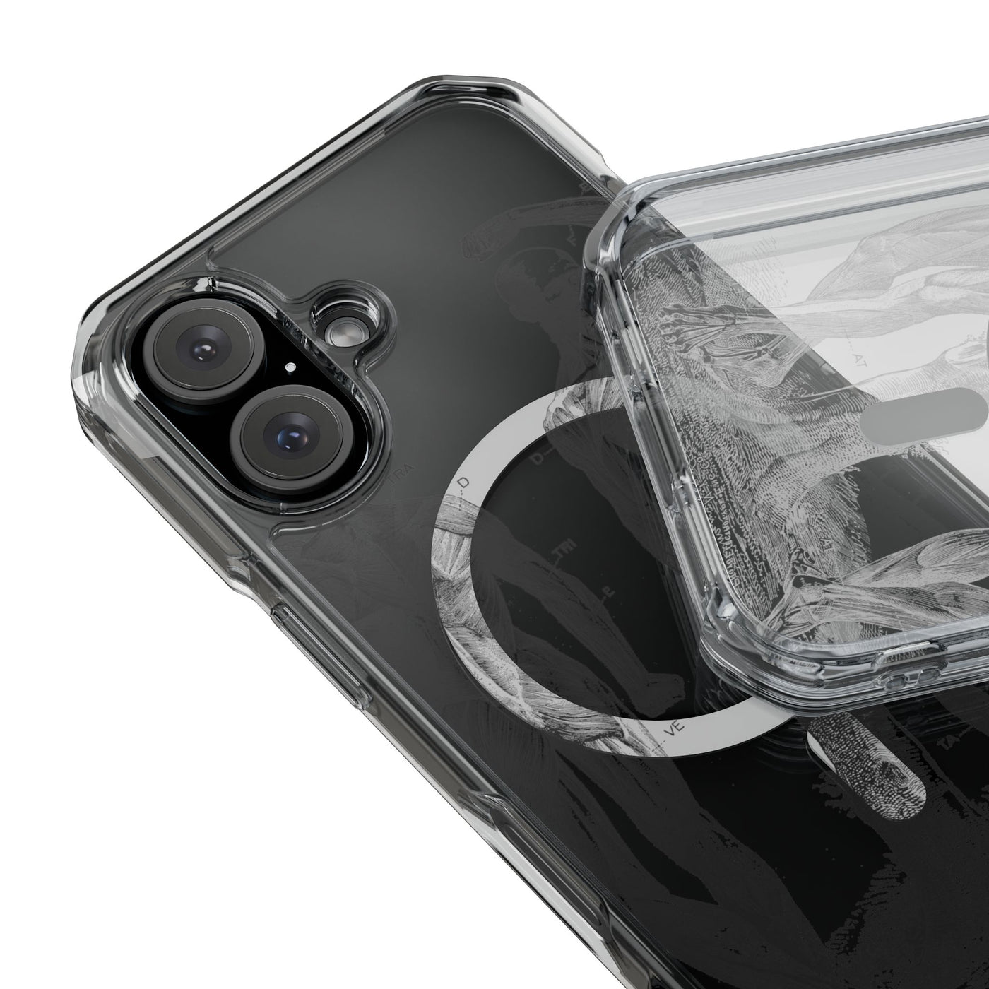 Phone Case:  Subtle Antique Skeletons Magnetic Clear Impact Case for iPhone
