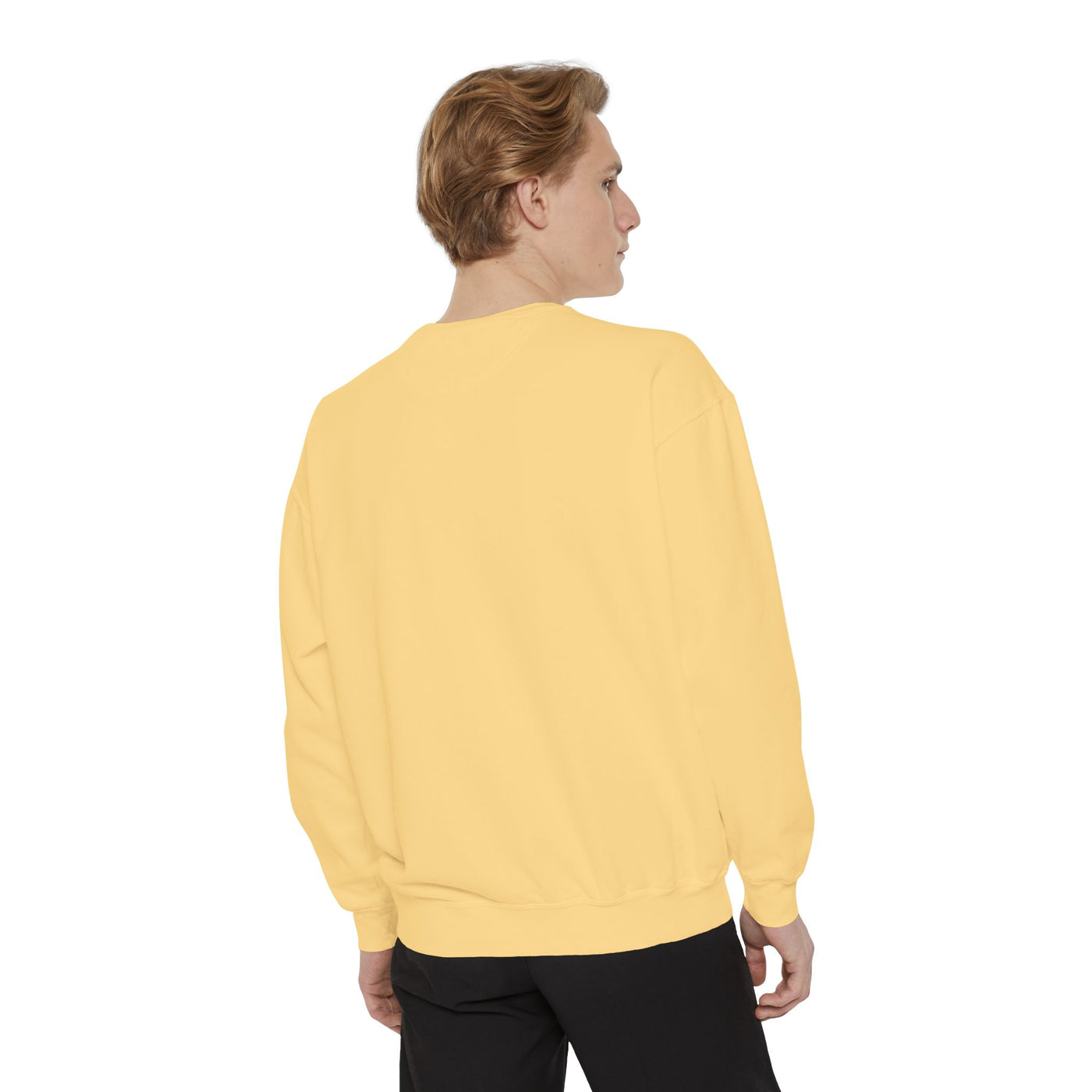 Men's Sweatshirt: Rabbit Run Pull Over