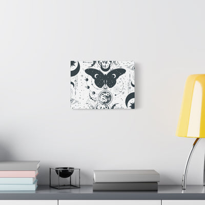Canvas: Moon Moth