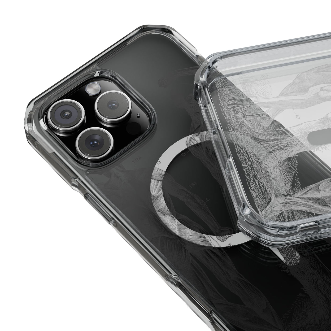Phone Case:  Subtle Antique Skeletons Magnetic Clear Impact Case for iPhone