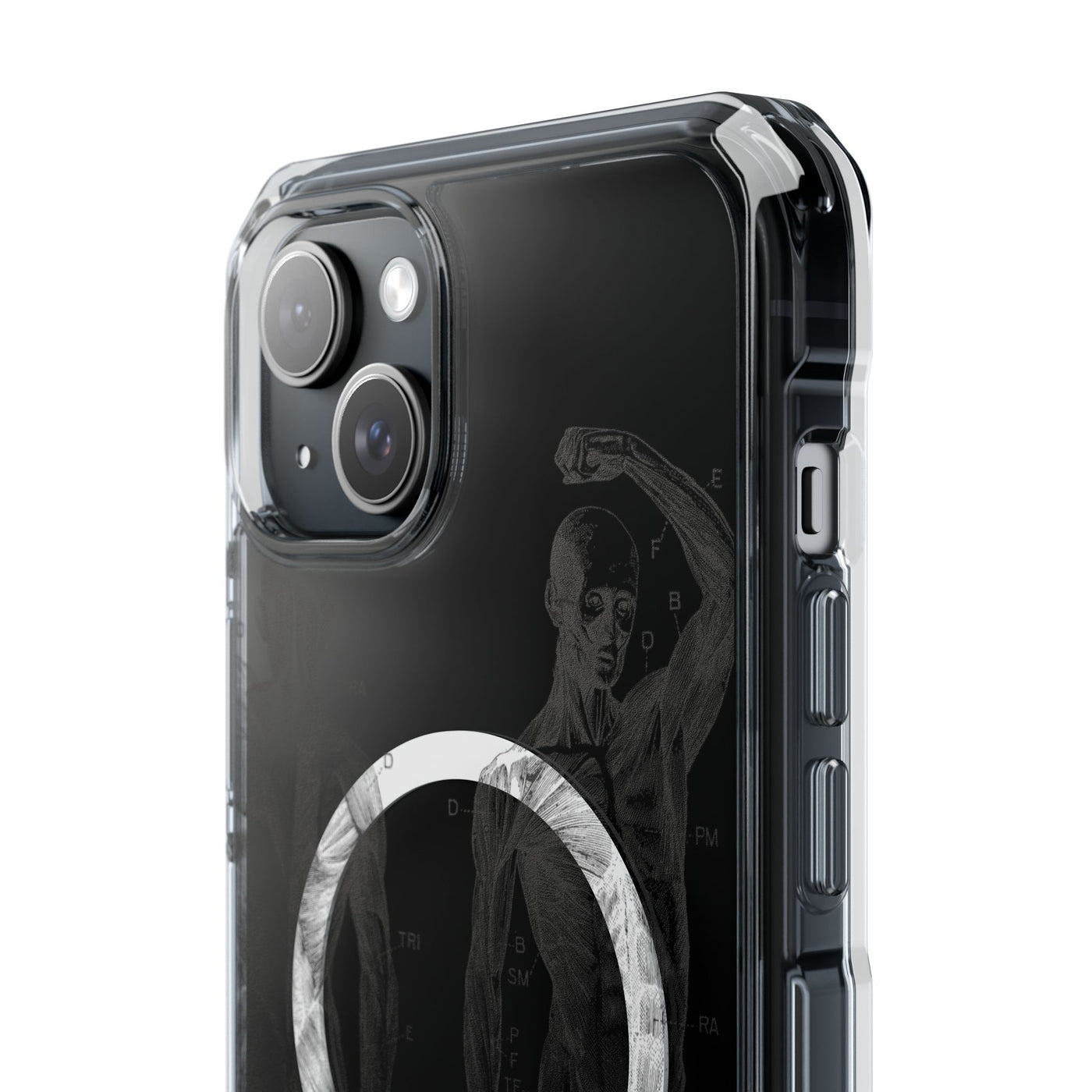 Phone Case:  Subtle Antique Skeletons Magnetic Clear Impact Case for iPhone