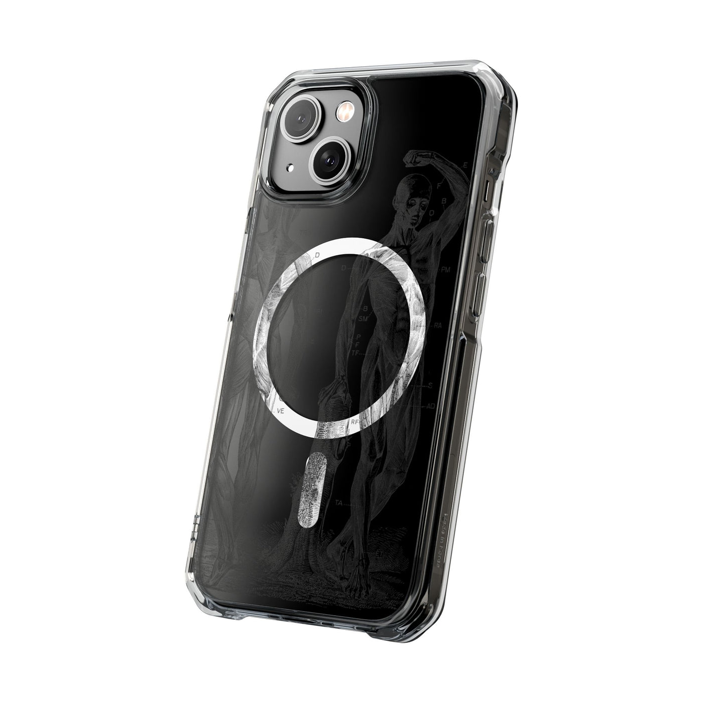 Phone Case:  Subtle Antique Skeletons Magnetic Clear Impact Case for iPhone