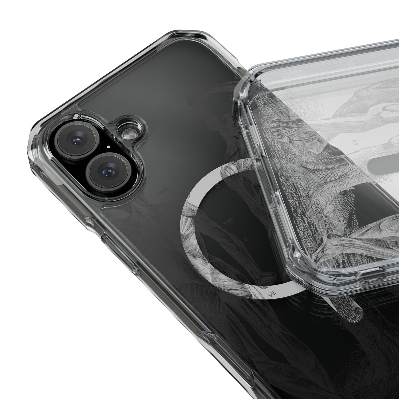 Phone Case:  Subtle Antique Skeletons Magnetic Clear Impact Case for iPhone