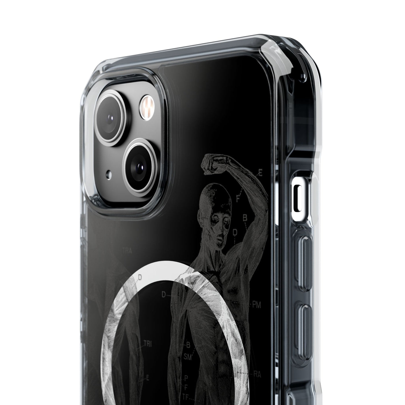 Phone Case:  Subtle Antique Skeletons Magnetic Clear Impact Case for iPhone