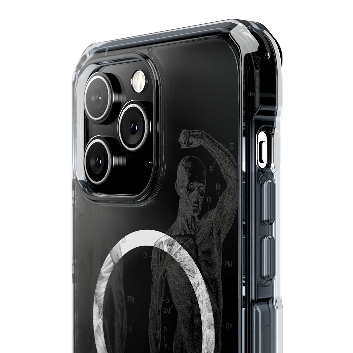Phone Case:  Subtle Antique Skeletons Magnetic Clear Impact Case for iPhone