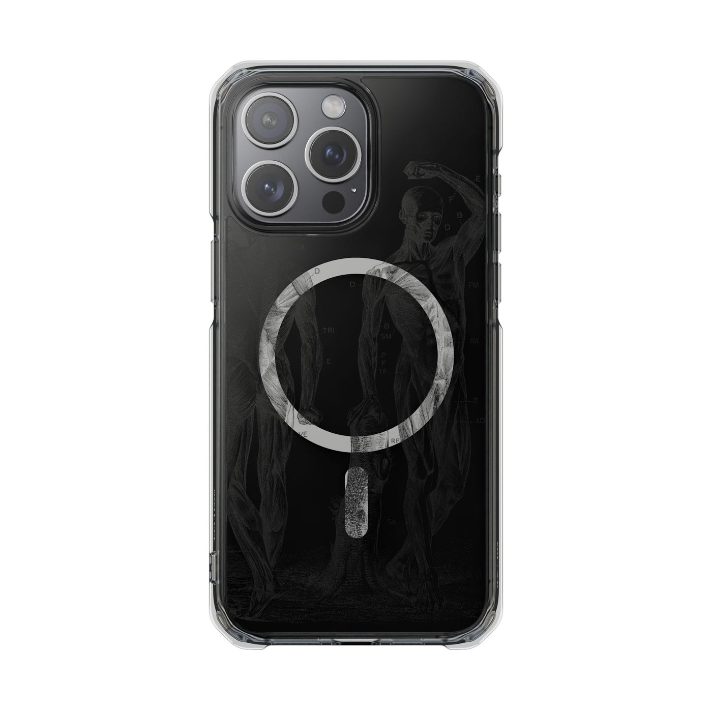 Phone Case:  Subtle Antique Skeletons Magnetic Clear Impact Case for iPhone