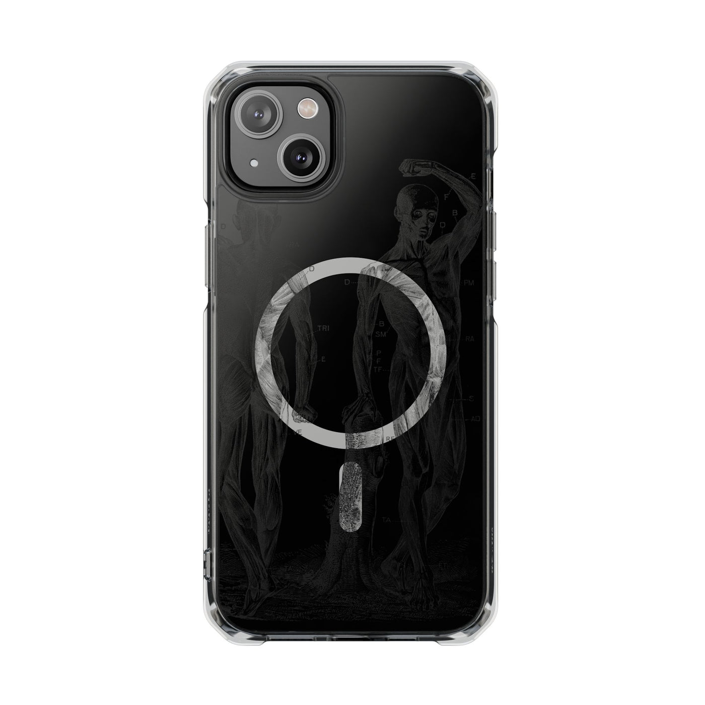 Phone Case:  Subtle Antique Skeletons Magnetic Clear Impact Case for iPhone