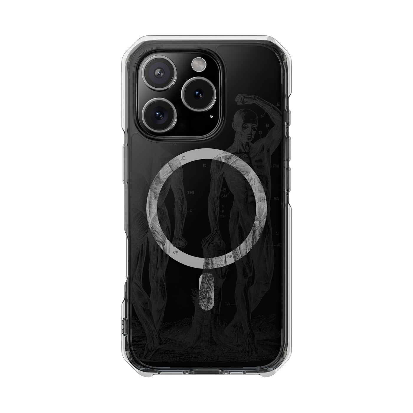 Phone Case:  Subtle Antique Skeletons Magnetic Clear Impact Case for iPhone