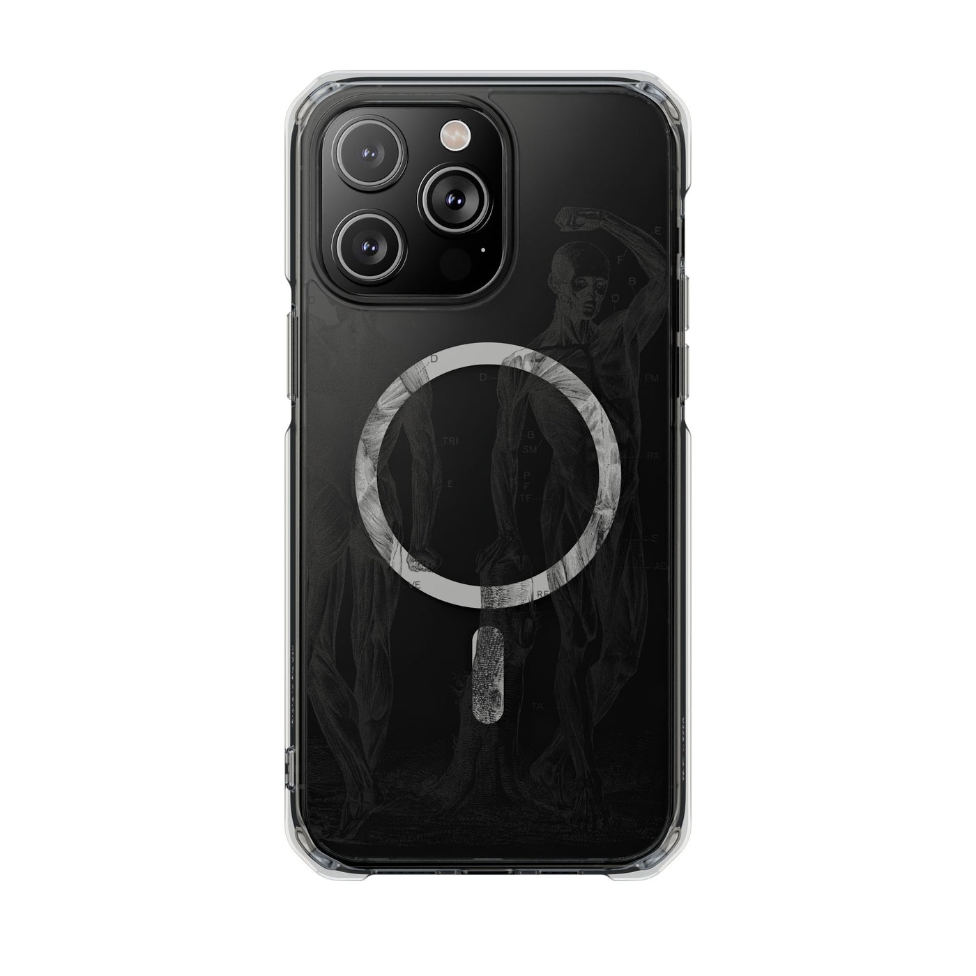Phone Case:  Subtle Antique Skeletons Magnetic Clear Impact Case for iPhone