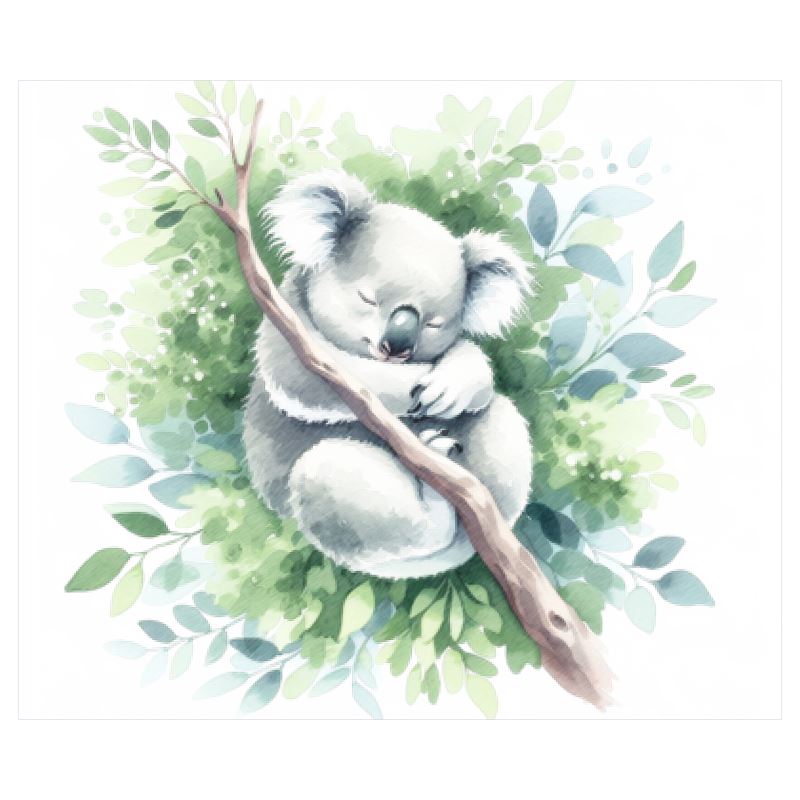 Print: Koala Watercolor Sketch