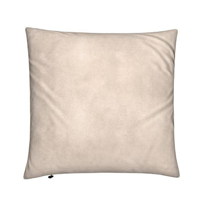 Cushions: Pride Start