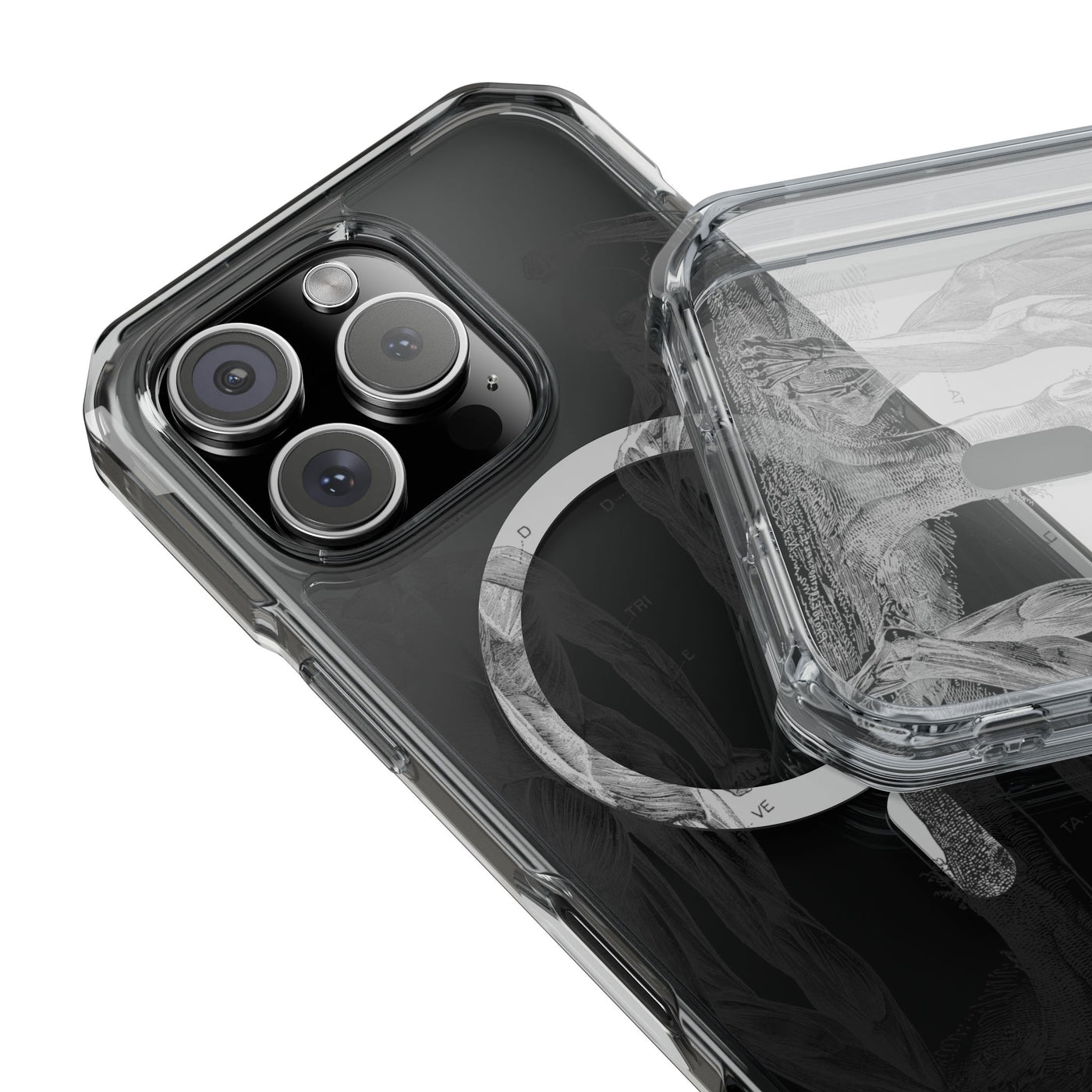 Phone Case:  Subtle Antique Skeletons Magnetic Clear Impact Case for iPhone