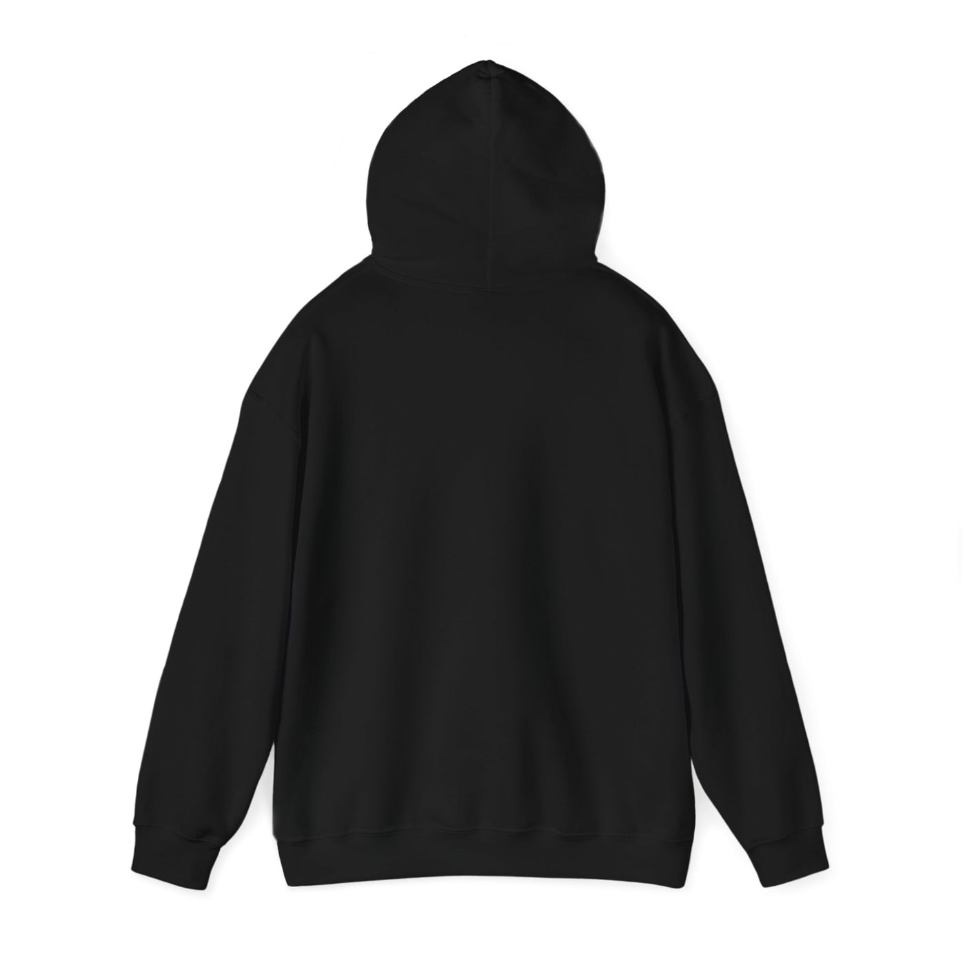 Black hoodie with a hood, shown from the back.