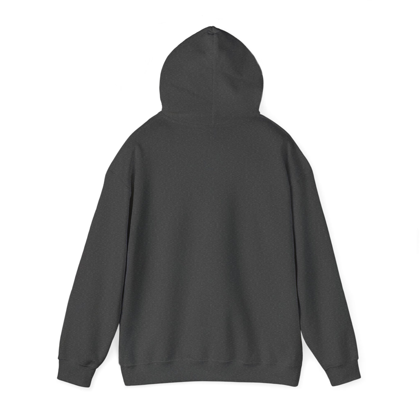 A dark grey hooded sweatshirt, viewed from the back.