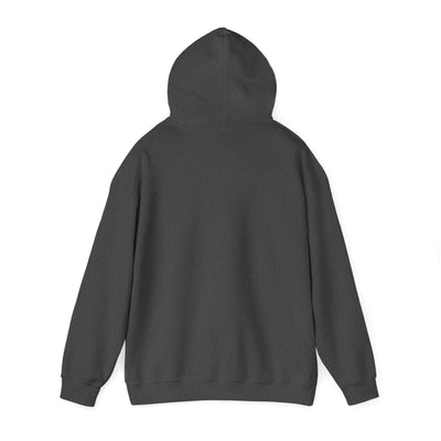 A dark grey hooded sweatshirt, viewed from the back.