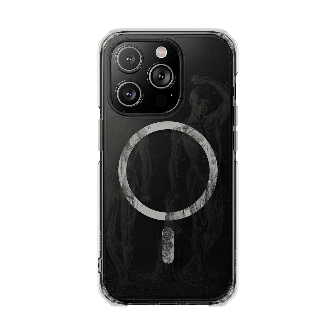 Phone Case:  Subtle Antique Skeletons Magnetic Clear Impact Case for iPhone