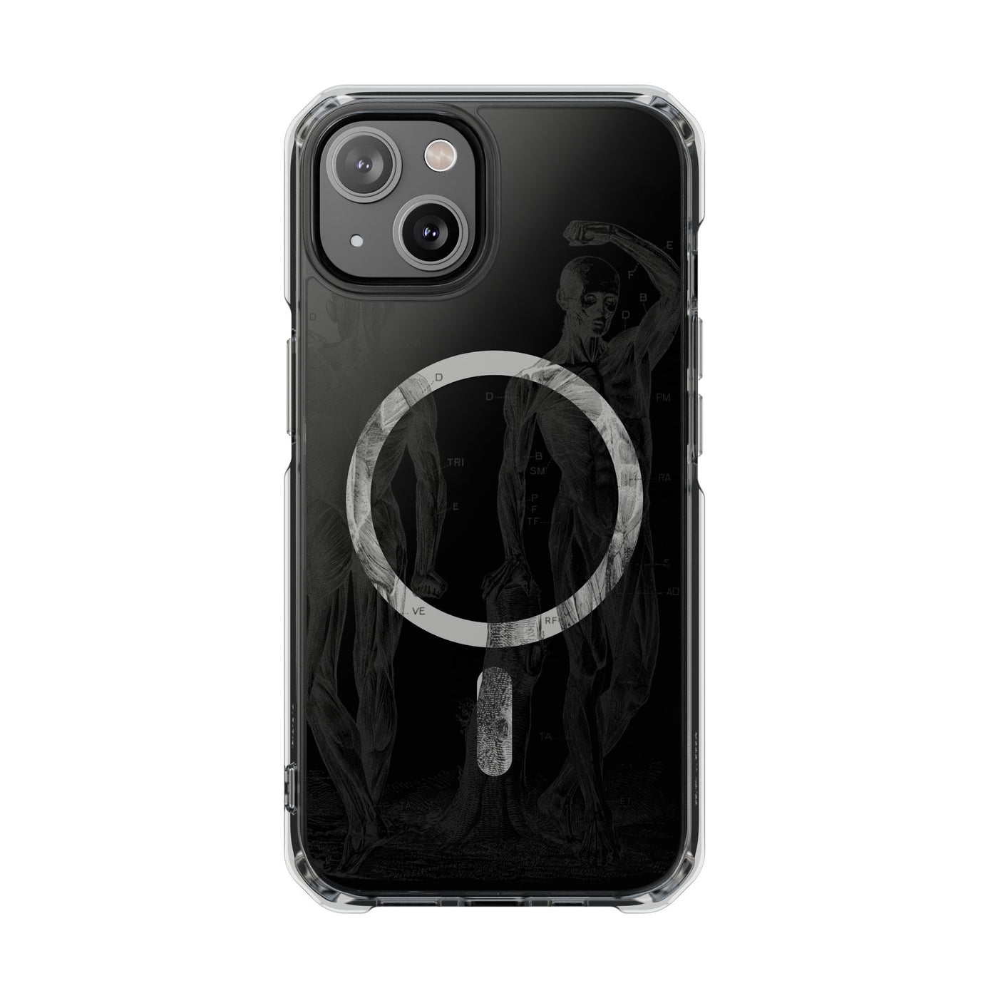 Phone Case:  Subtle Antique Skeletons Magnetic Clear Impact Case for iPhone