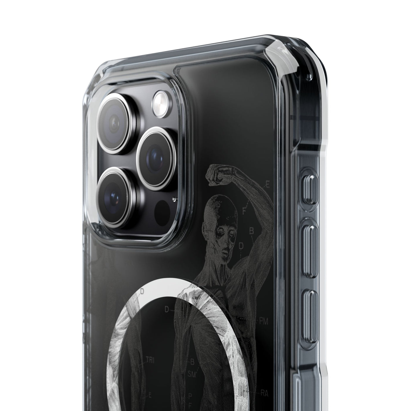 Phone Case:  Subtle Antique Skeletons Magnetic Clear Impact Case for iPhone