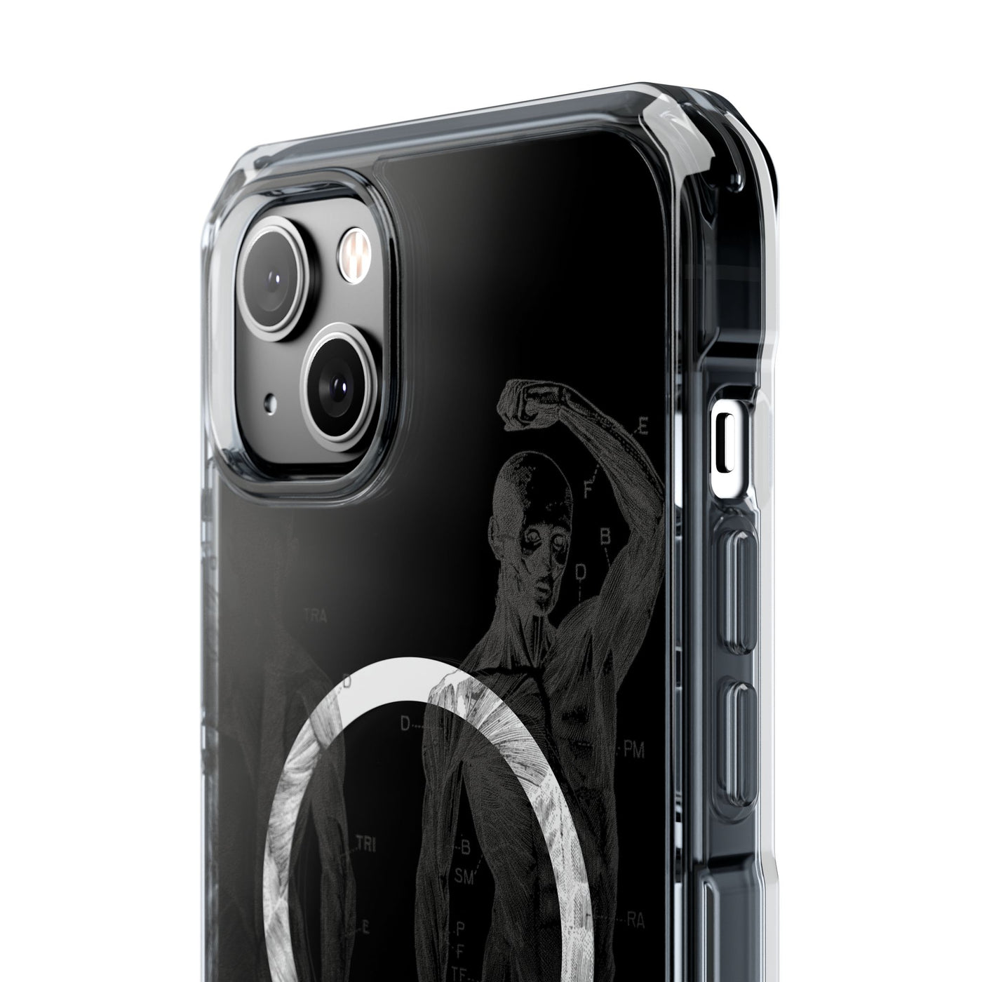 Phone Case:  Subtle Antique Skeletons Magnetic Clear Impact Case for iPhone