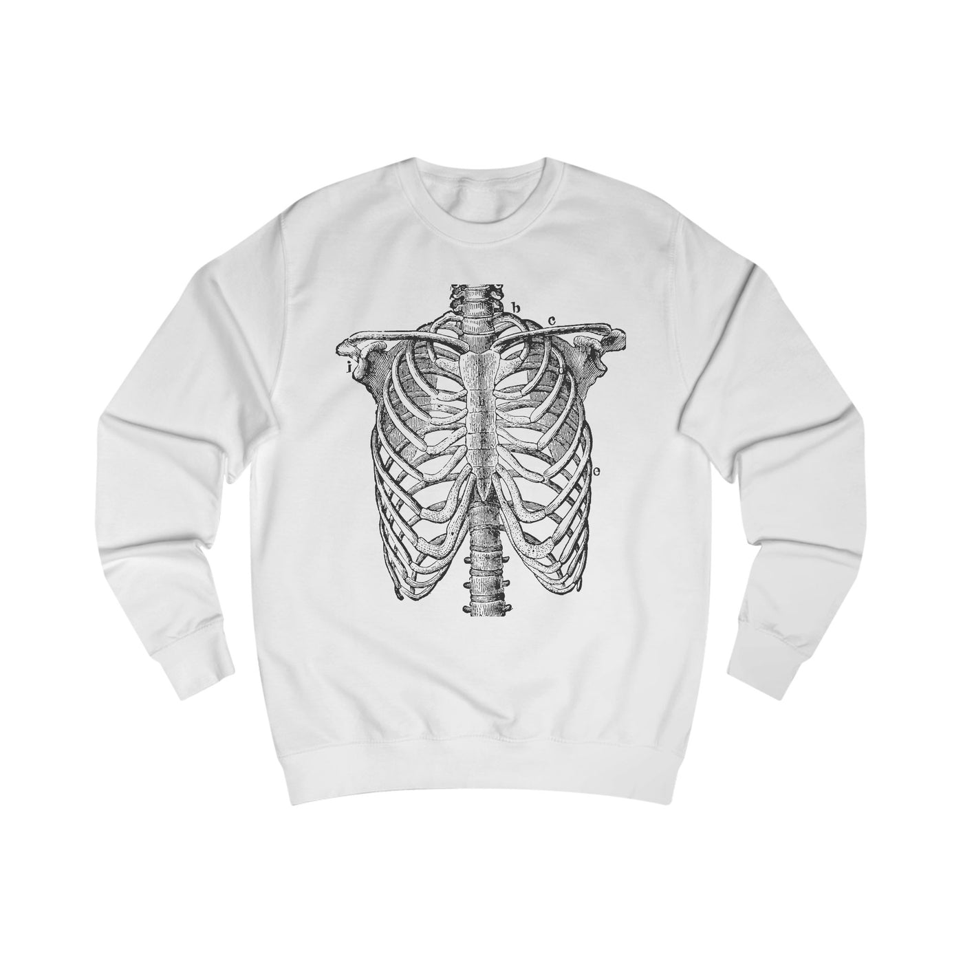 Sweatshirt: My 6 Pack