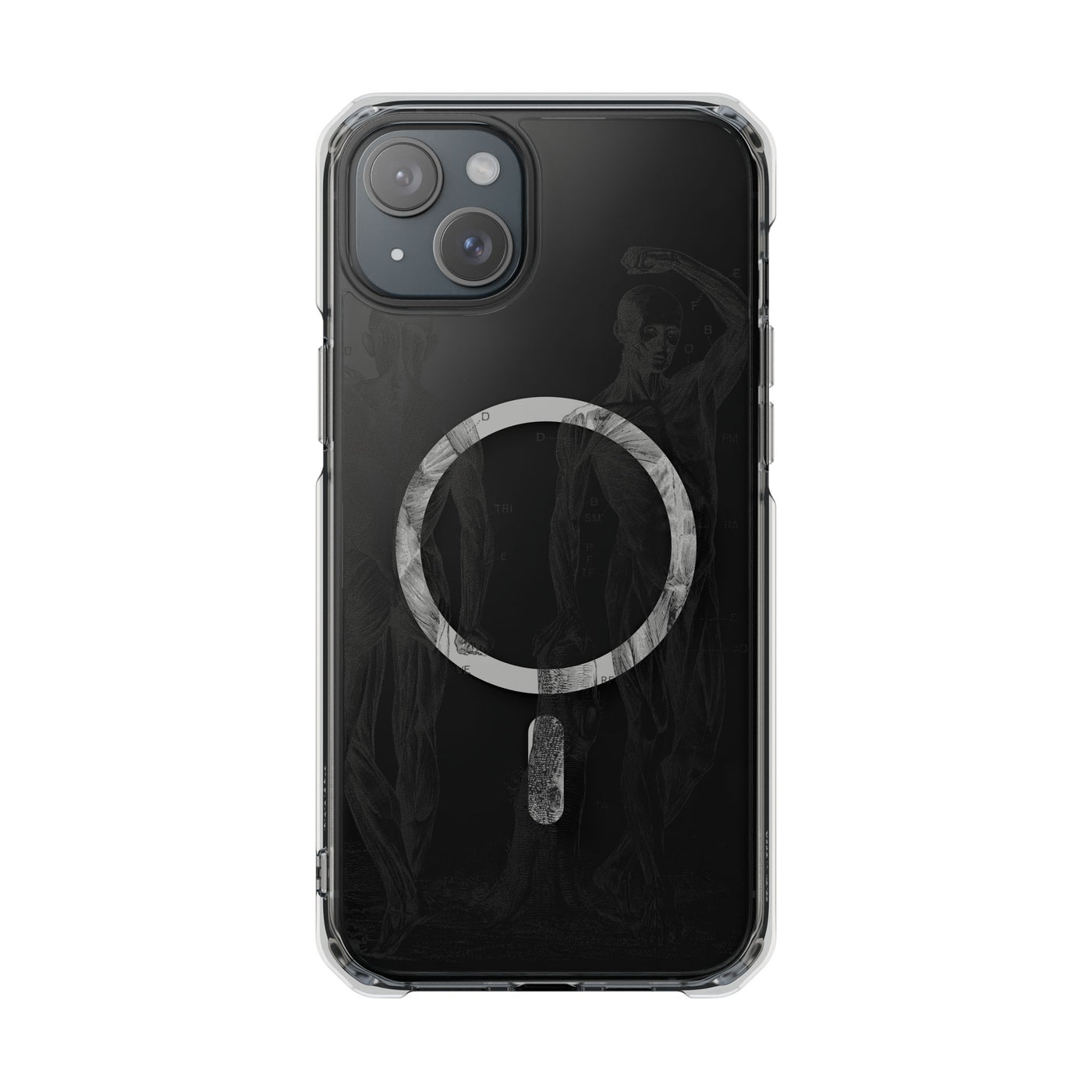 Phone Case:  Subtle Antique Skeletons Magnetic Clear Impact Case for iPhone