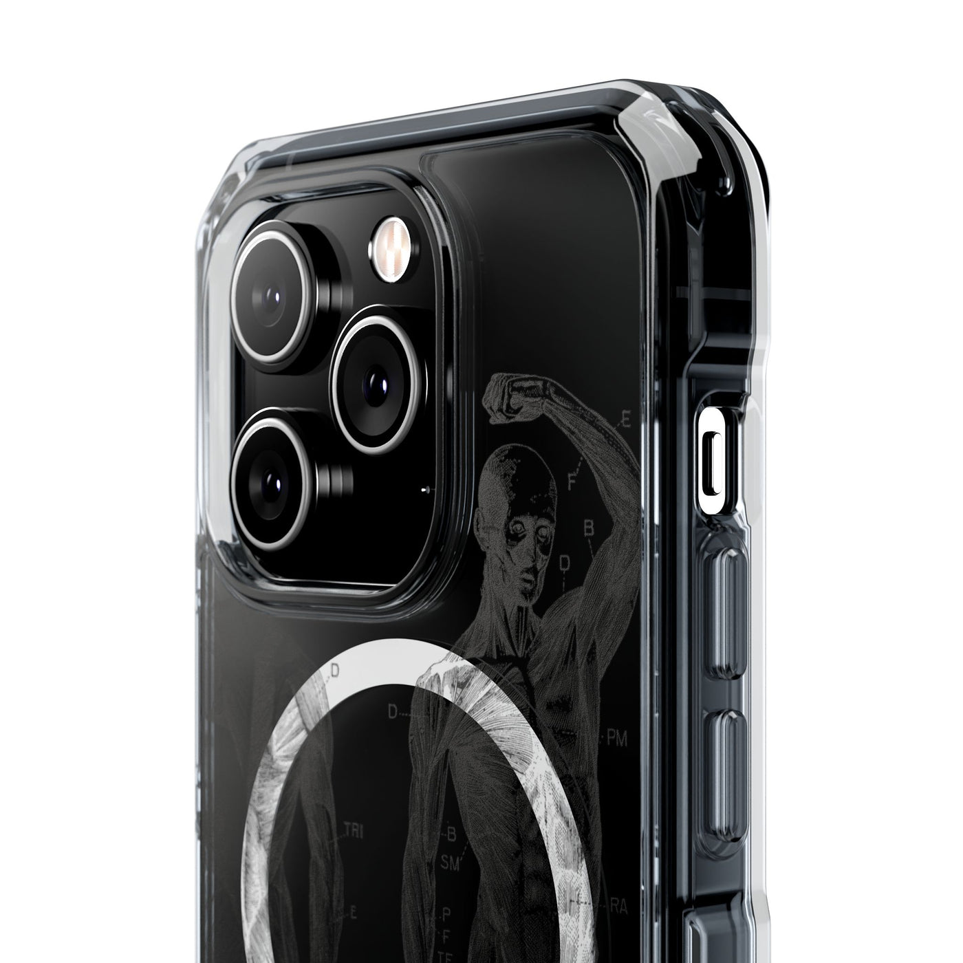 Phone Case:  Subtle Antique Skeletons Magnetic Clear Impact Case for iPhone