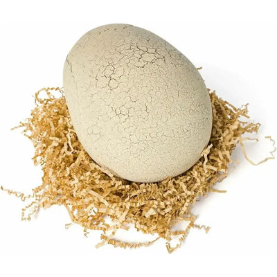 RoboHatch™ – Crack & Reveal Jurassic Fun 🦖